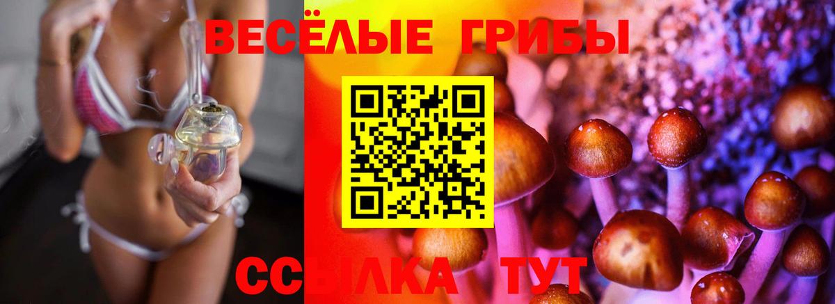 Псилоцибиновые грибы прущие грибы  Галлюциногенные грибы ЛСД  Вход с VPN  купить наркотики цена  Изобильный 